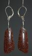 Rose Red Agatized Dinosaur Bone Earrings #5249-6